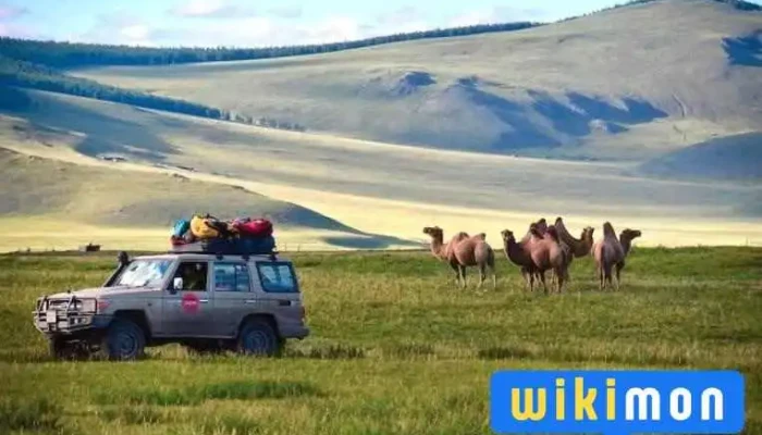 Drive Mongolia Ulgii Branch Principal - Өлгий