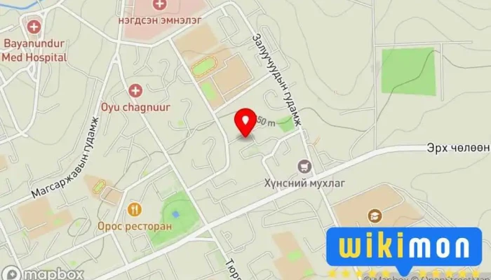 Erdenezaya - Эрдэнэт