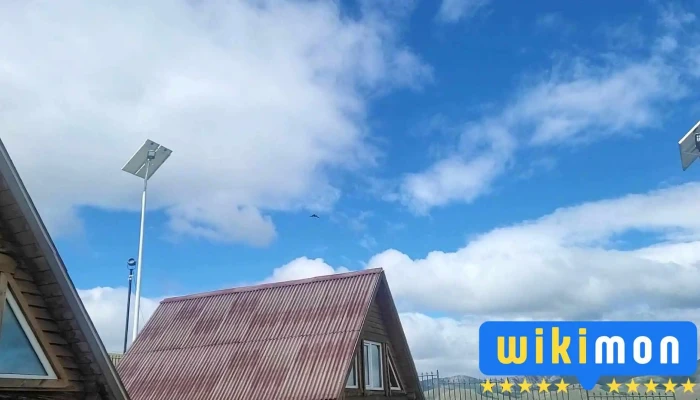 Four Seasons Camp Dorvon Uliral Amralt Video - Аймаг