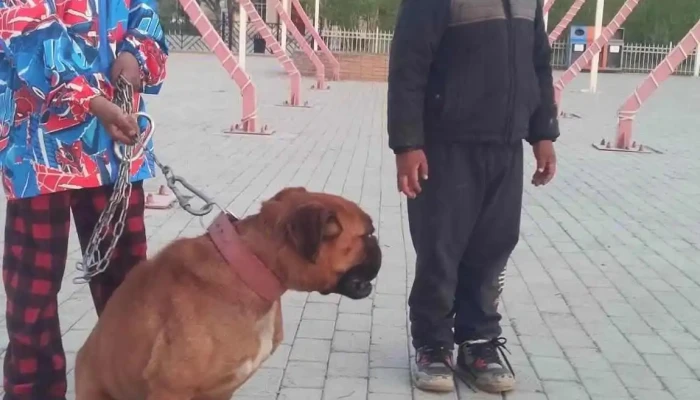 G - Хархорин