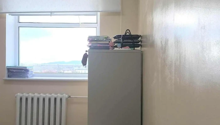 Ger Bul Khuukhed Zaluuchuudyn Khogzhliin Gazar Bugd - Сүхбаатар