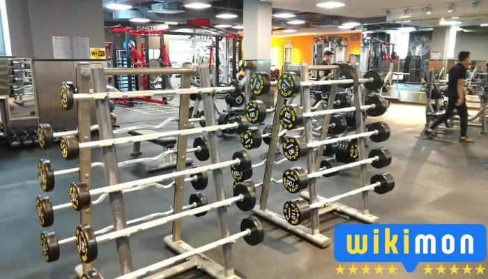 Gold's Gym - Улаанбаатар 13311