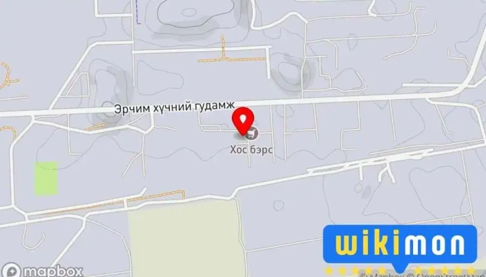 гэсэн газрын зураг Хос бэрс Хүнсний дэлгүүр дээр Улаанбаатар