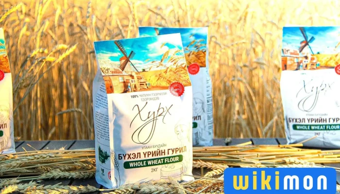 Khurkh Guril   Hurh Guril Khangai Mills Khkhk Bugd - Улаанбаатар