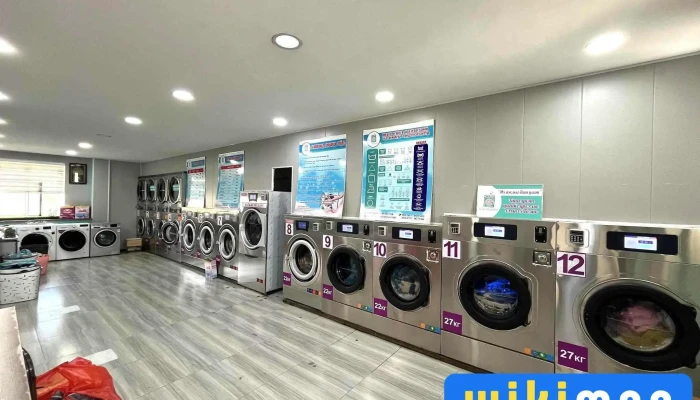 Lily Laundry - Дархан