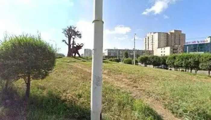 Mas Dugui Zavardugui Zasvar Gudamzh Kharakh Bolon 360deg - Улаанбаатар