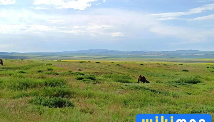 Mongol Olon Ulsyn Deed Surguul Bugd - Улаанбаатар