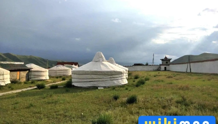 Mongol Shiltgeen Zochdoos - Гачуурт