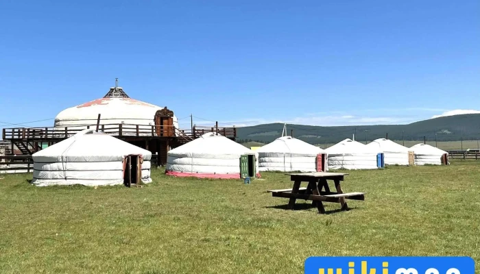 Mongol Ujin Camp Tours Bugd - Хатгал