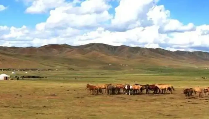 Mongolia Short Tours Agency - Bzd
