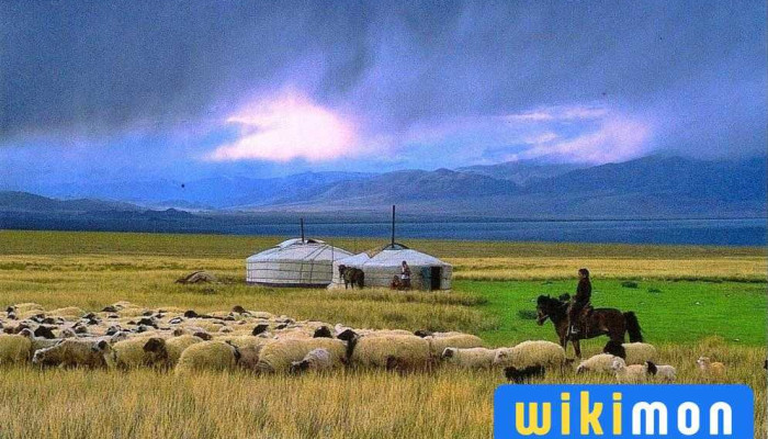Mongolian Secret History Travel Company -  Ezemshigchiinkh - Улаанбаатар