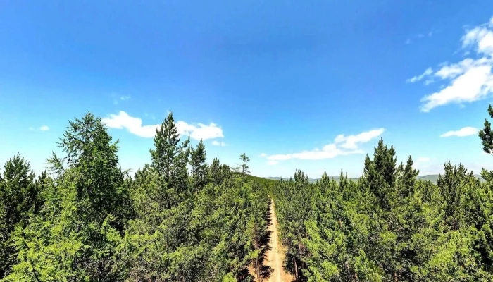 Narsan Oin Khureelen Gudamzh Kharakh Bolon 360deg - Онон