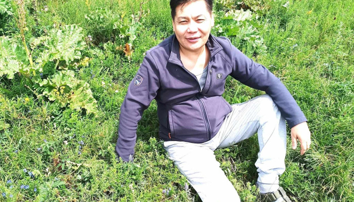 Nogoon Barilga Bugd - Улаанбаатар