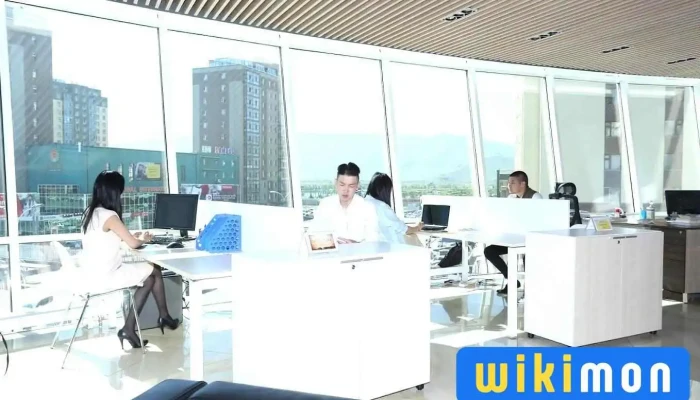 Onza Education Onza Bolovsrol Ezemshigchiinkh - Улаанбаатар