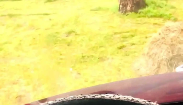 Renchinlkhumbe Sum Renchinlkhumbe County Video - Зөөлөн