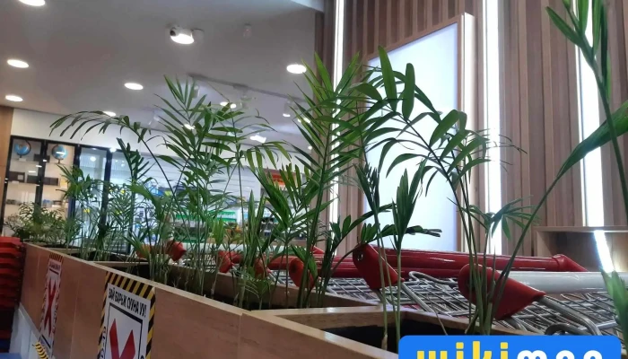Tod Ongo Bichig Khergiin Delguur Bugd - Улаанбаатар