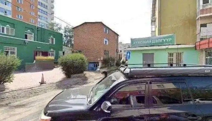 Tsetsegmn Tsetsgiin Delguur Tsetseg Hurgelt Gudamzh Kharakh Bolon 360deg - Улаанбаатар
