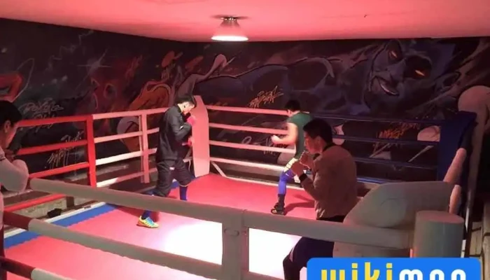 Ub pro boxing club - 23-р