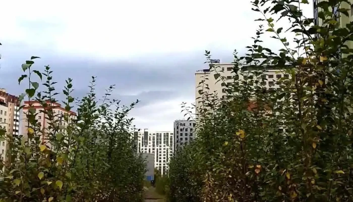 Ulaanbaatar Buian Khkhk Video - Улаанбаатар