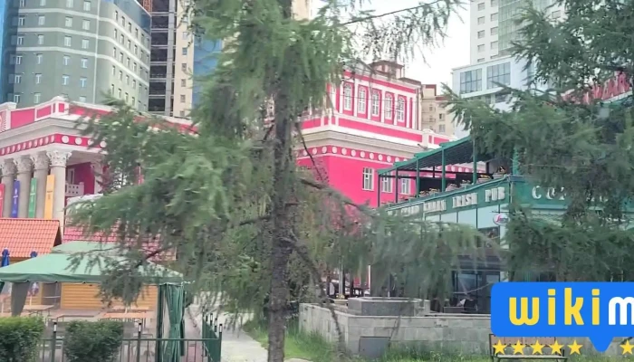 Ulsyn Duur Buzhgiin Erdmiin Teatr Video - Улаанбаатар