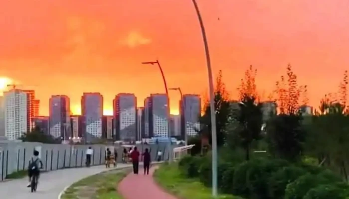 Unadag Duguin Tureesiin Uilchilgee Video - Улаанбаатар