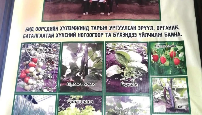 Urkhan Lun Khoolny Gazar Tses - Лүн