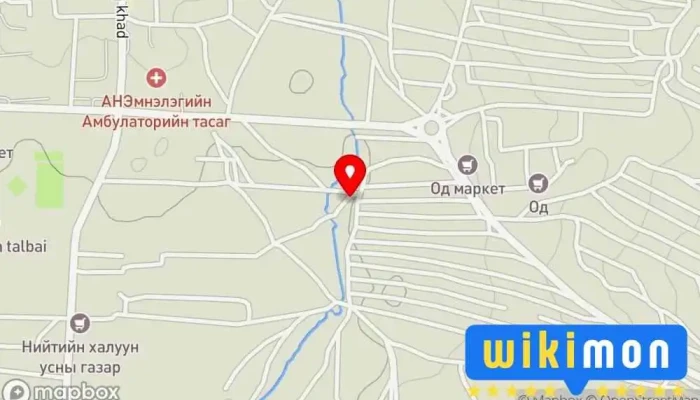 Аряана эмчилгэний гоо сайханы салон - Төв