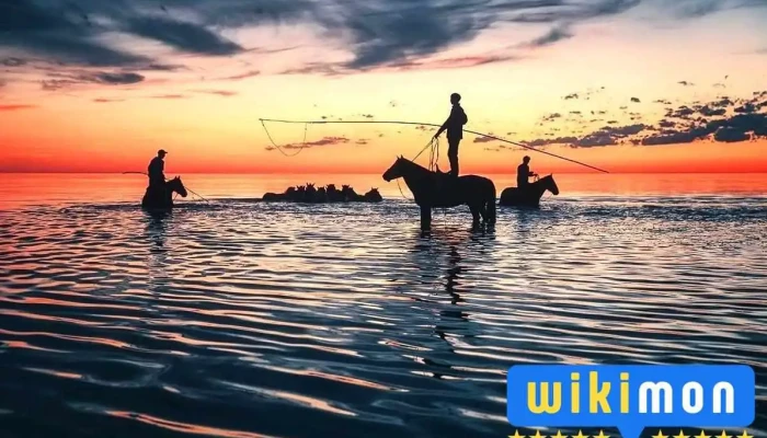 Буйр Нуур - Mongolian