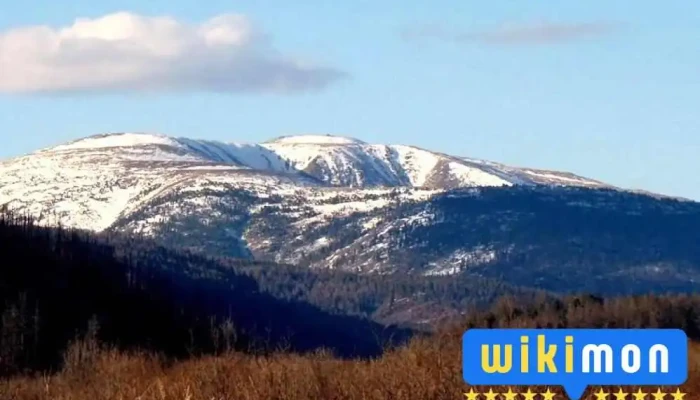 Бурхан Халдун уул - Төв