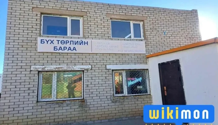 Бүх төрлийн бараа - Мандалговь