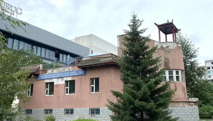 Монголын уламжлалт анагаах ухааны музей - Худ - 19 Хороо