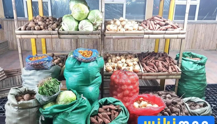 Мөнх Ногоон Амьдрал - Улаанбаатар