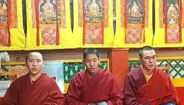 Нэгүн кашмер Ххк - Чд - 1 Хороо