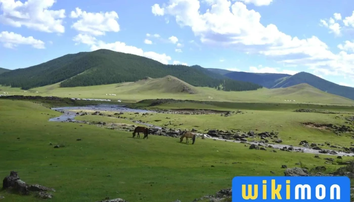 Орхон Гол - Монгол Улс
