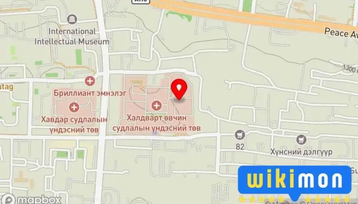 Сэхээн Амьдруулах Эрчимт Эмчилгээний Тасаг - Улаанбаатар