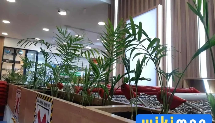 Тод Өнгө Бичиг Хэргийн Дэлгүүр - Улаанбаатар