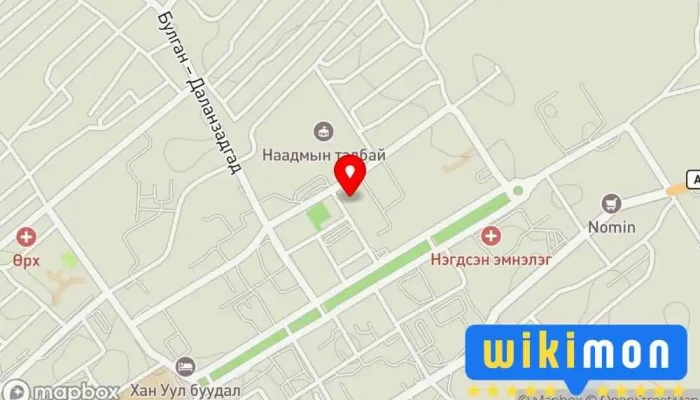 Тэмээний музей - Даланзадгад