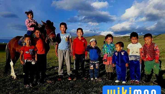 Улаангом хотын засаг даргын тамгын газар - Улаангом