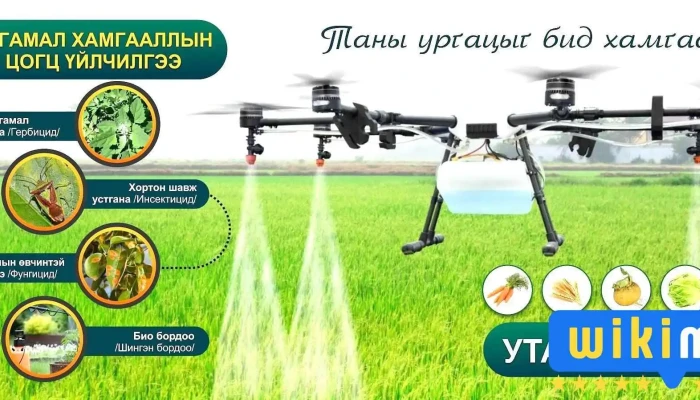 Устгал Үйлчилгээ - Mongolian