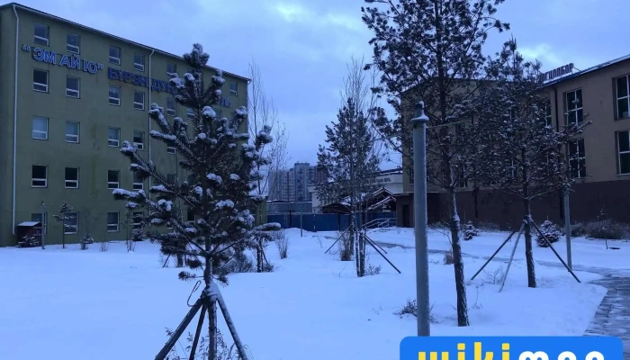 Эм Ай Ю дээд сургууль - Улаанбаатар 13330